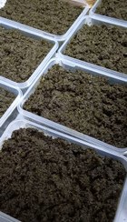 تصویر 2 از سبزی پخته شده مناسب استفاده آسان و سریع برای غذا